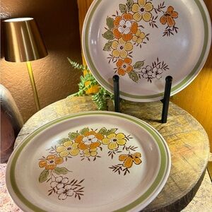 2 Vintage 1970s Country Casual Spring Garden Hand Painted Stoneware Plates 10.5”